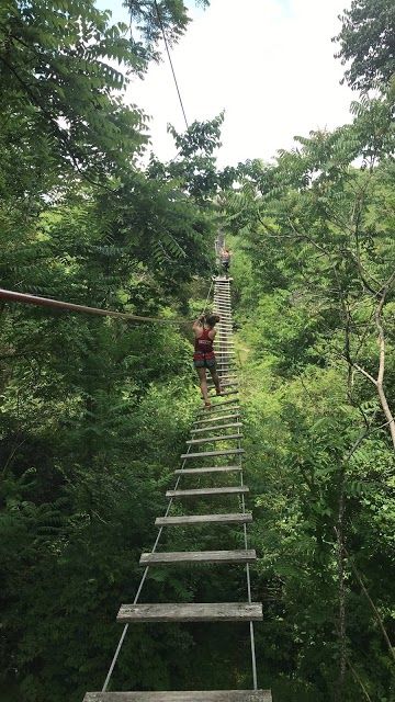 Treetop Adventure Park